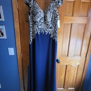 Rina di Montella RD2652